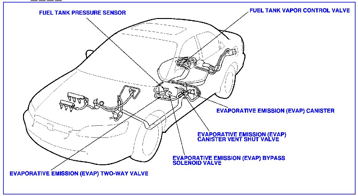 EVAP system